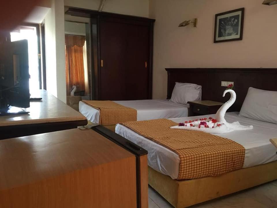 Regency Lodge Resort 沙姆沙伊赫 外观 照片